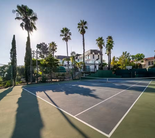 Outdoor pickleball court surrounded by palm trees and a house, available for rent.
